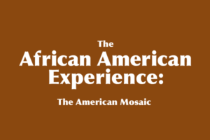 The African American Experience: the American Mosaic