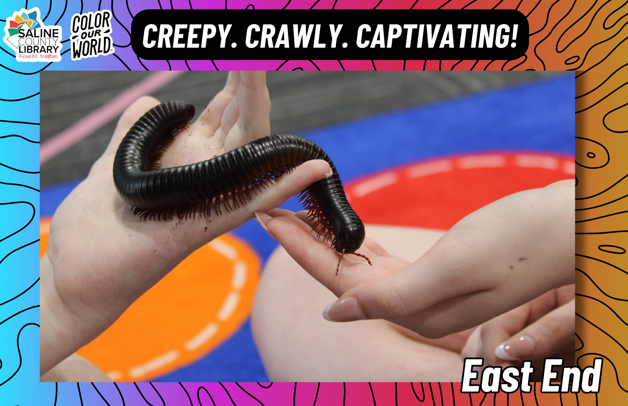 Creepy. Crawly. Captivating! 