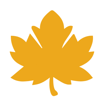 Fall leaf yellow