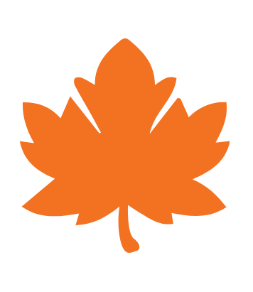 Fall leaf orange